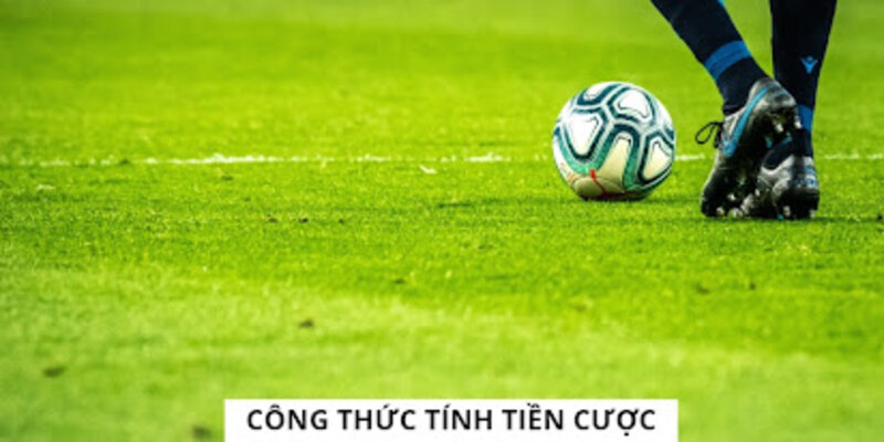 Tính tiền cược kèo châu Âu dễ nhất