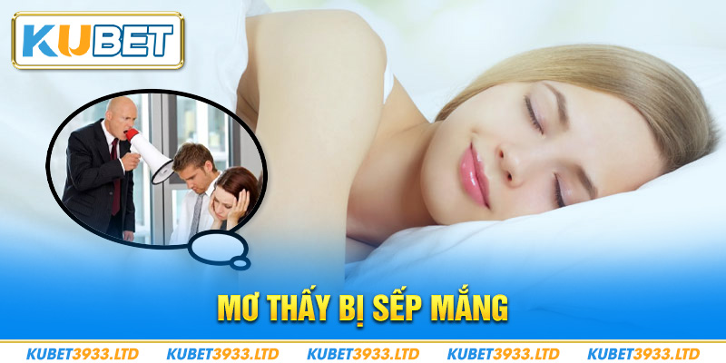 mơ thấy bị sếp mắng