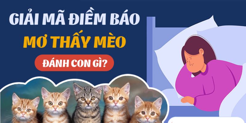 Giải mã giấc mơ thấy mèo đánh con gì