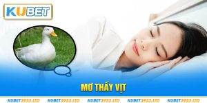 Mơ thấy vịt